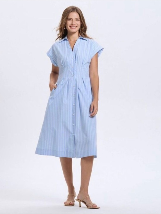 a new day Dresses & Skirts - a new day Light Blue Pinstripe Pleated dress
